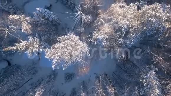 鸟瞰冬天的雪景有森林树木和雪崖蓝天冬季景观视频的预览图
