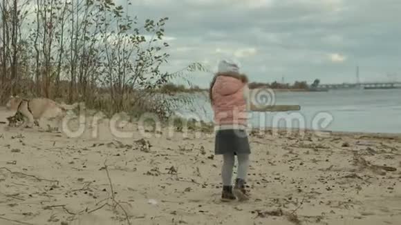 穿暖和衣服的卷发女孩跑步在海滩上和一只棕色的狗玩扔棍子寒冷的天气视频的预览图