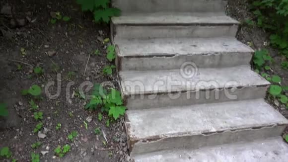 城市公园的一个混凝土楼梯视频的预览图