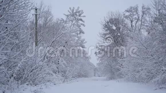 冰雪覆盖公园的冬季景观大自然中白雪覆盖的树木视频的预览图