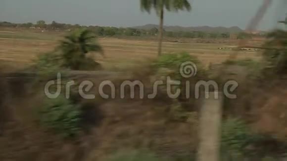 汽车在印度道路上的移动手掌丛林视频的预览图