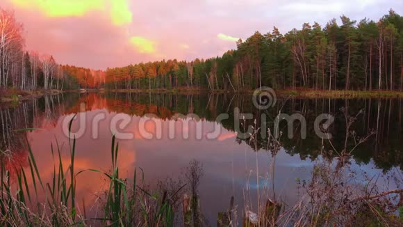 优质时光流逝美丽的森林湖在惊人的日出视频的预览图