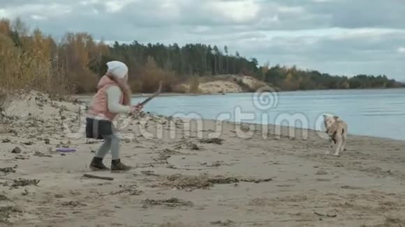 穿暖和衣服的卷发女孩跑步在海滩上和一只棕色的狗玩扔棍子寒冷的天气视频的预览图