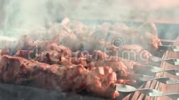 在布拉齐尔烤肉肉串烤架上烤猪肉串视频的预览图
