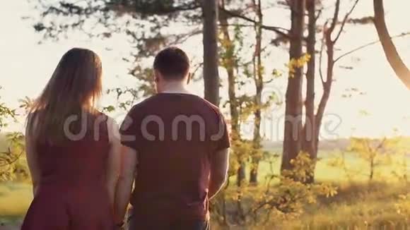 美丽的日落恋人在森林里散步女人牵着手抚摸树叶慢镜头Stedicam镜头后视图视频的预览图