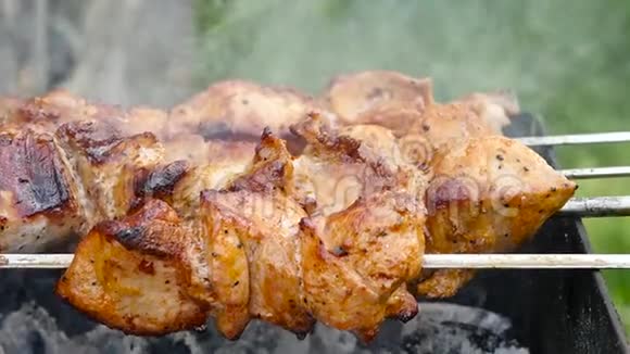 露天烧烤多汁的肉在烤架上热煤和烟雾慢动作视频的预览图