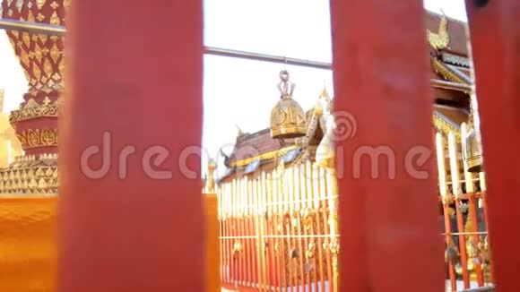 泰国清迈的佛寺寺4K金色佛钟在阳光下祈愿你在做什么视频的预览图