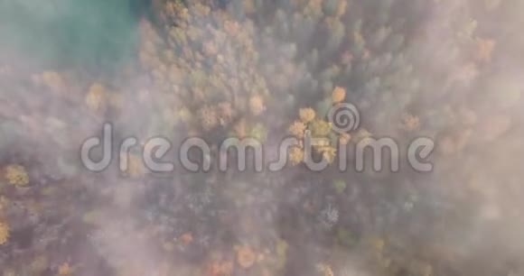 雾蒙蒙的秋日清晨森林的航空摄影视频的预览图