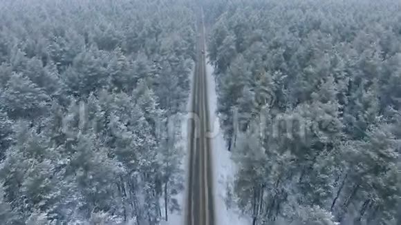 冬林中的路视频的预览图