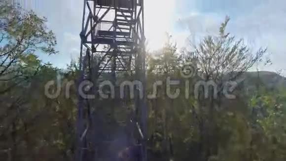 高塔在森林中央升起视频的预览图