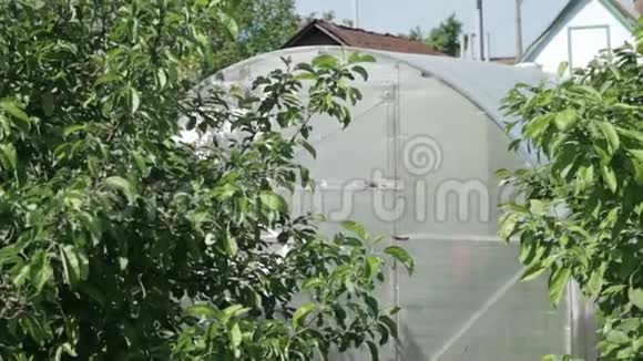农场春季花园原始塑料温室视频的预览图