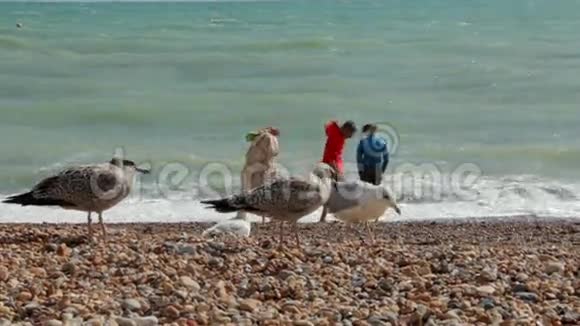 英国布莱顿三个暑假的年轻人站在大西洋水附近的海滩上那个家伙视频的预览图