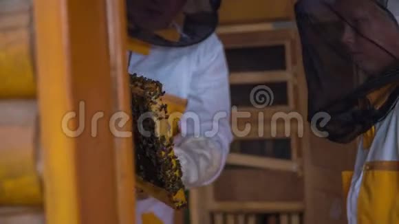 几个养蜂人在检查蜜蜂视频的预览图