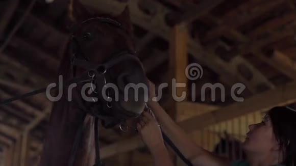 女骑手清洁马脸准备动物盛装视频的预览图