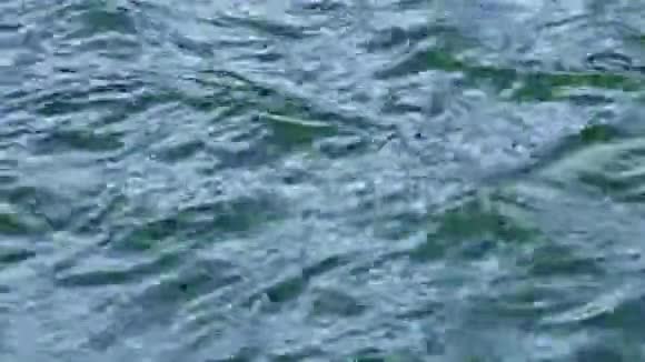 小水波自然背景视频的预览图