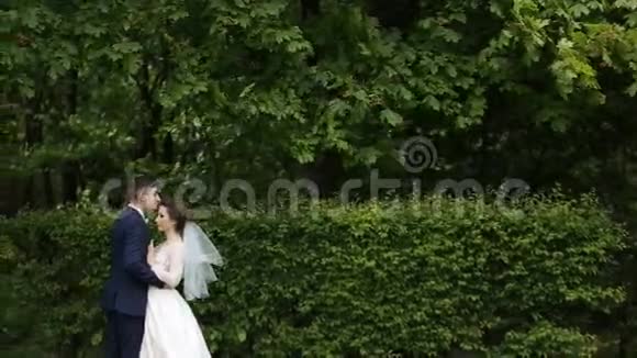 新郎亲吻新娘的前额视频的预览图