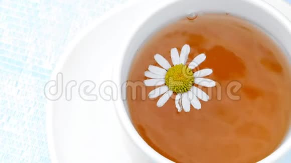 一个特写镜头一个带茶的白色杯子上面飘着一朵雏菊视频的预览图