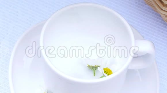 一个特写一个白色的杯子里面有洋甘菊花杯子里装满了开水洋甘菊茶视频的预览图