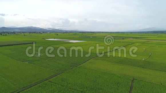 泰国的高空观景高角度视野视频的预览图