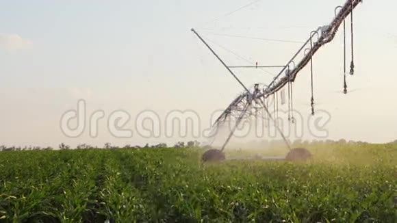 玉米田间自动灌溉视频的预览图