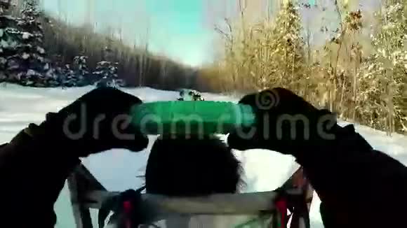 坐雪橇的女人和西伯利亚哈士奇视频的预览图