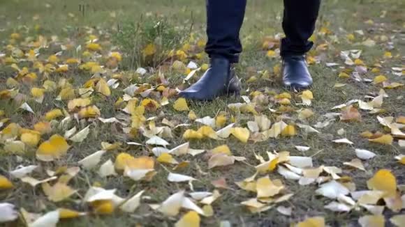 在秋天的季节里一个人走在覆盖着黄色落叶的地上视频的预览图