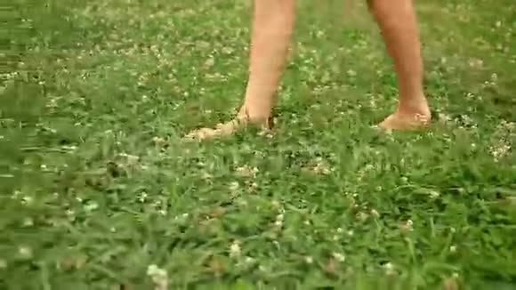 女人光着脚走过绿草地苜蓿花视频的预览图