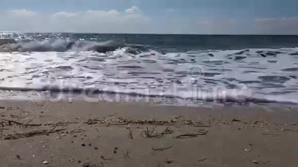 山水海清日视频的预览图