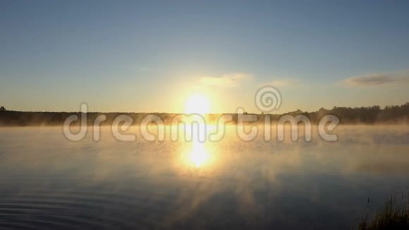 乌克兰日落时一个朦胧的森林湖表面视频的预览图