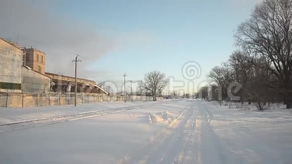 靠近植物的道路上覆盖着雪视频的预览图