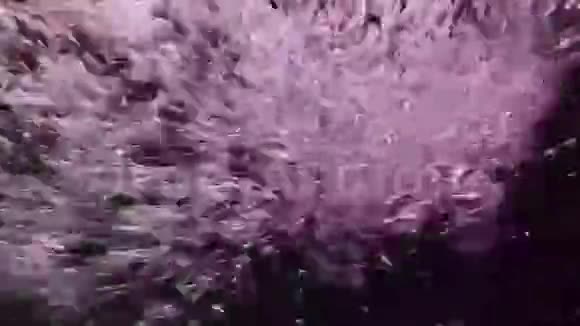 黑色背景下水中的气泡视频的预览图