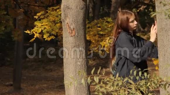 一个女孩用手触摸一棵树仔细观察树皮视频的预览图