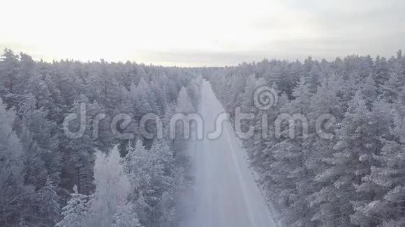 雪覆盖森林树顶的鸟瞰图视频的预览图