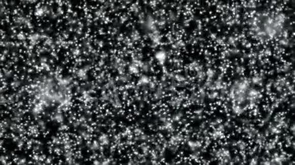 黑色背景下飘落的雪或白色抽象粒子的概念视频的预览图