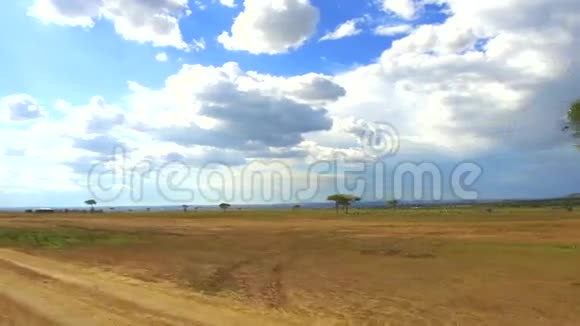 非洲热带草原的乡村小屋视频的预览图
