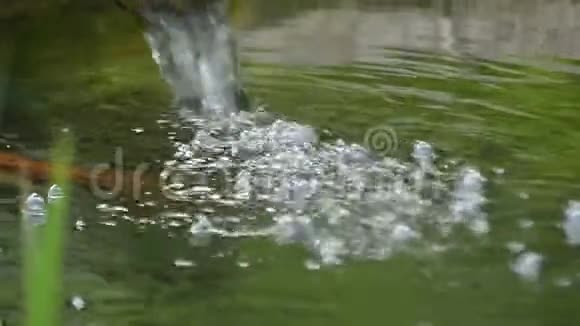 一个旧的宽管里面的水掉进了一个湖里视频的预览图