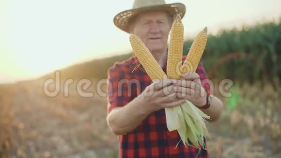 快乐的农夫在镜头4K上展示了丰收的玉米视频的预览图