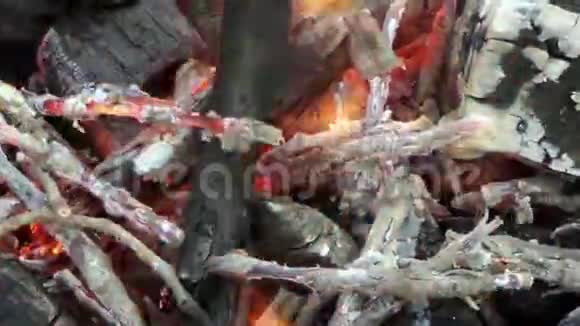 浅红色和橙色的火焰在燃烧的木材在一个金属巨藻在斯洛文尼亚视频的预览图