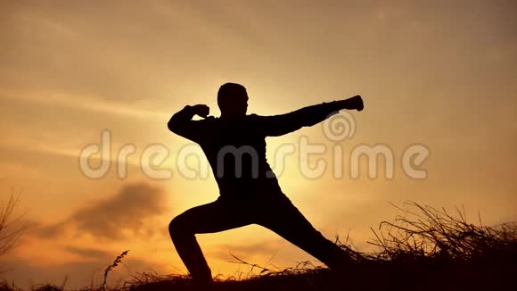 男子战士武术和尚练习剪影空手道功夫在草地的地平线上日落空手道踢腿艺术视频的预览图