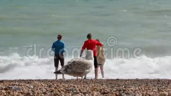 英国布莱顿三位暑假的年轻游客站在大西洋水边的海滩上那个家伙视频的预览图