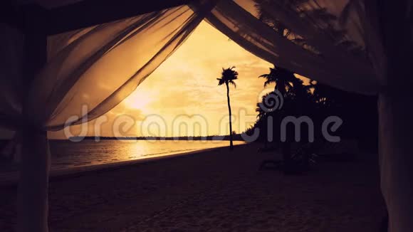 帕塔卡纳金色日出在沙滩和棕榈树视频的预览图