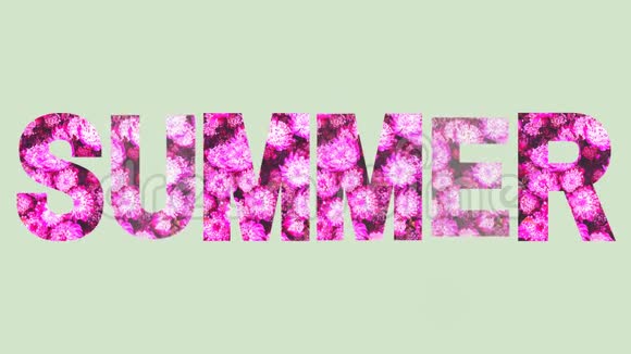 夏季夏季季节文字视频的预览图