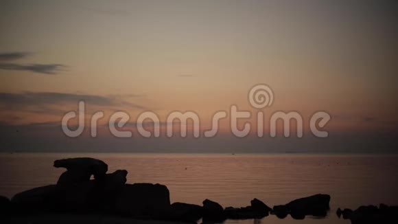 美丽的金色夕阳日出海面上完全平静飞翔的海鸥视频的预览图
