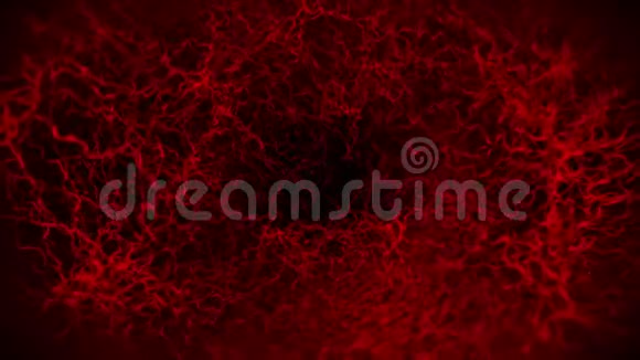 人血管3D环动画红色毛细血管黑色背景上的眼睛血解剖学背景医学概念视频的预览图