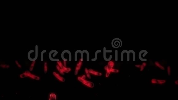 病毒细胞呈线性形状致病病毒引起感染人类病毒循环动画细菌微生物病毒防治视频的预览图