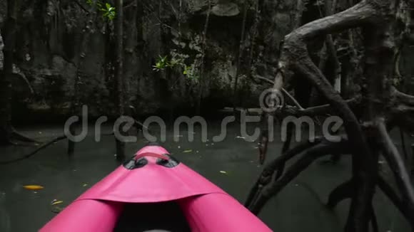 穿越泰国红树林视频的预览图