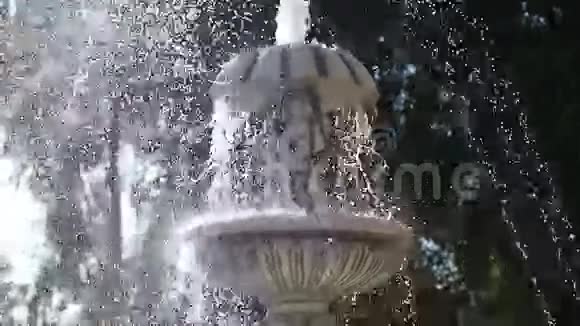 阳光下的喷泉视频的预览图