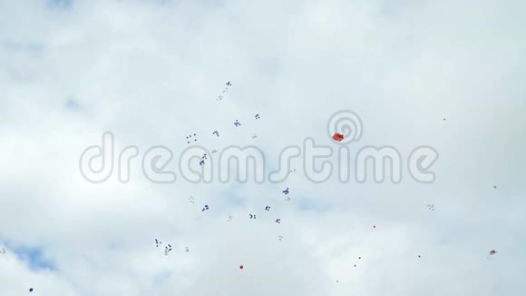 五颜六色的气球飞向天空视频的预览图
