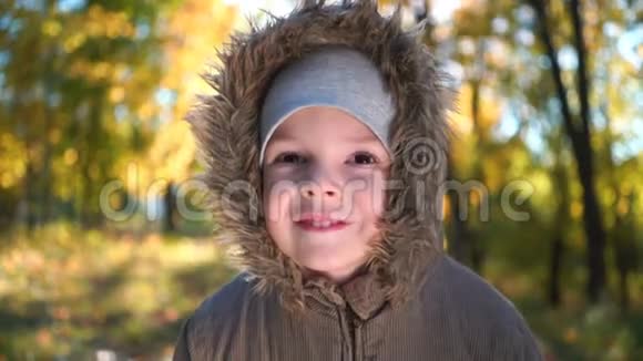 秋天公园快乐男孩的肖像视频的预览图