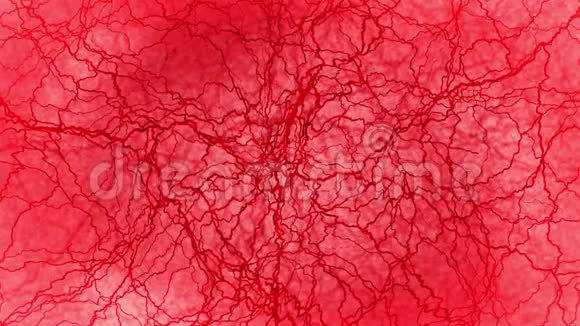 人血管3D环动画红色毛细血管红色背景上的眼睛血解剖学背景医学概念视频的预览图